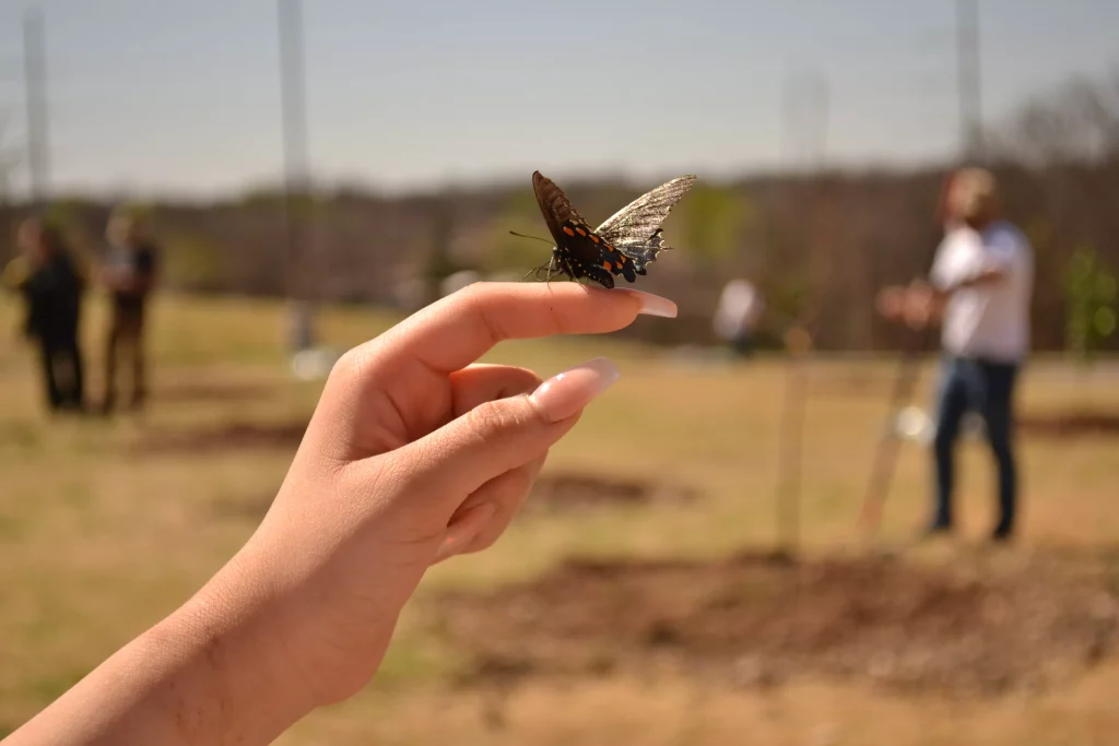 Able City Planting Trees - Butterfly