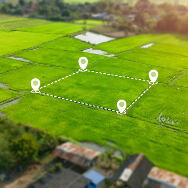 Feasibility & Land Services